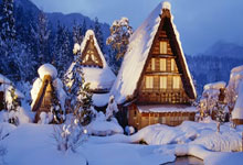 2023年女足世界杯在哪里举行？